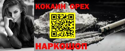 стаф Кимры