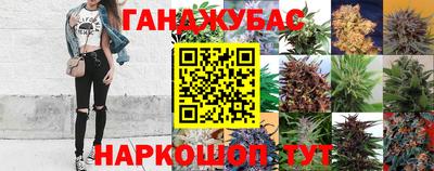 стаф Кимры