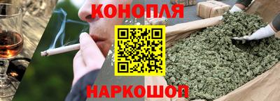мяу мяу мука Кингисепп